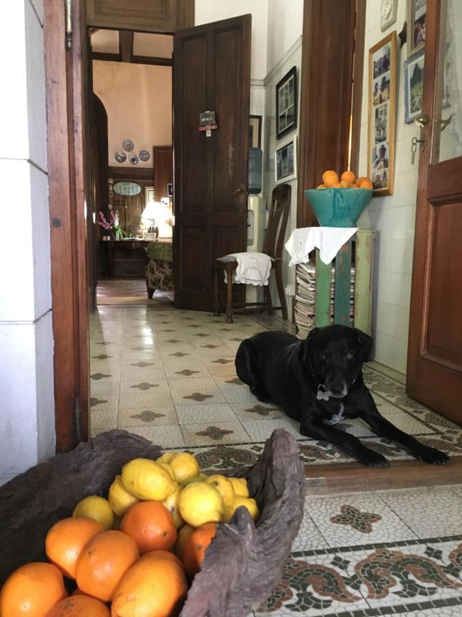 티그레 Casa Ruchi 1893 B&B 외부 사진